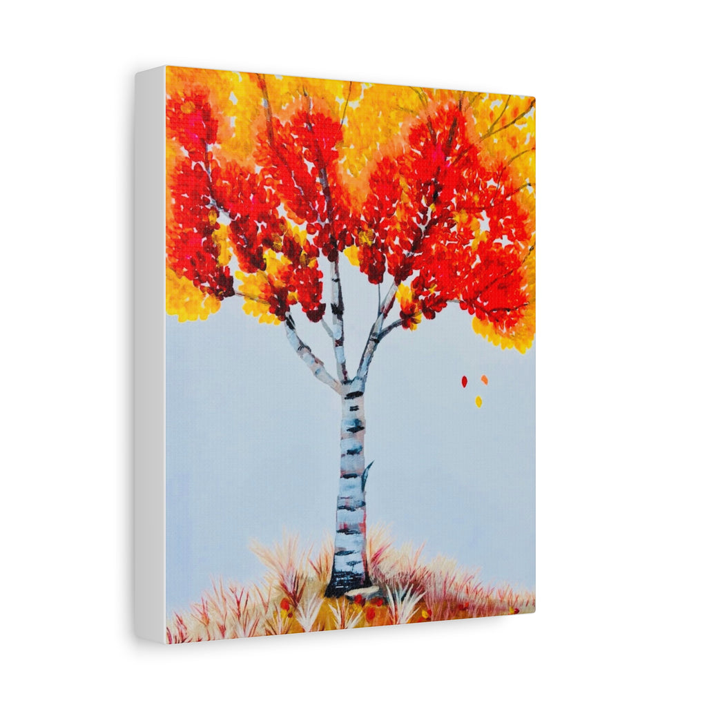Autumn Birch Tree