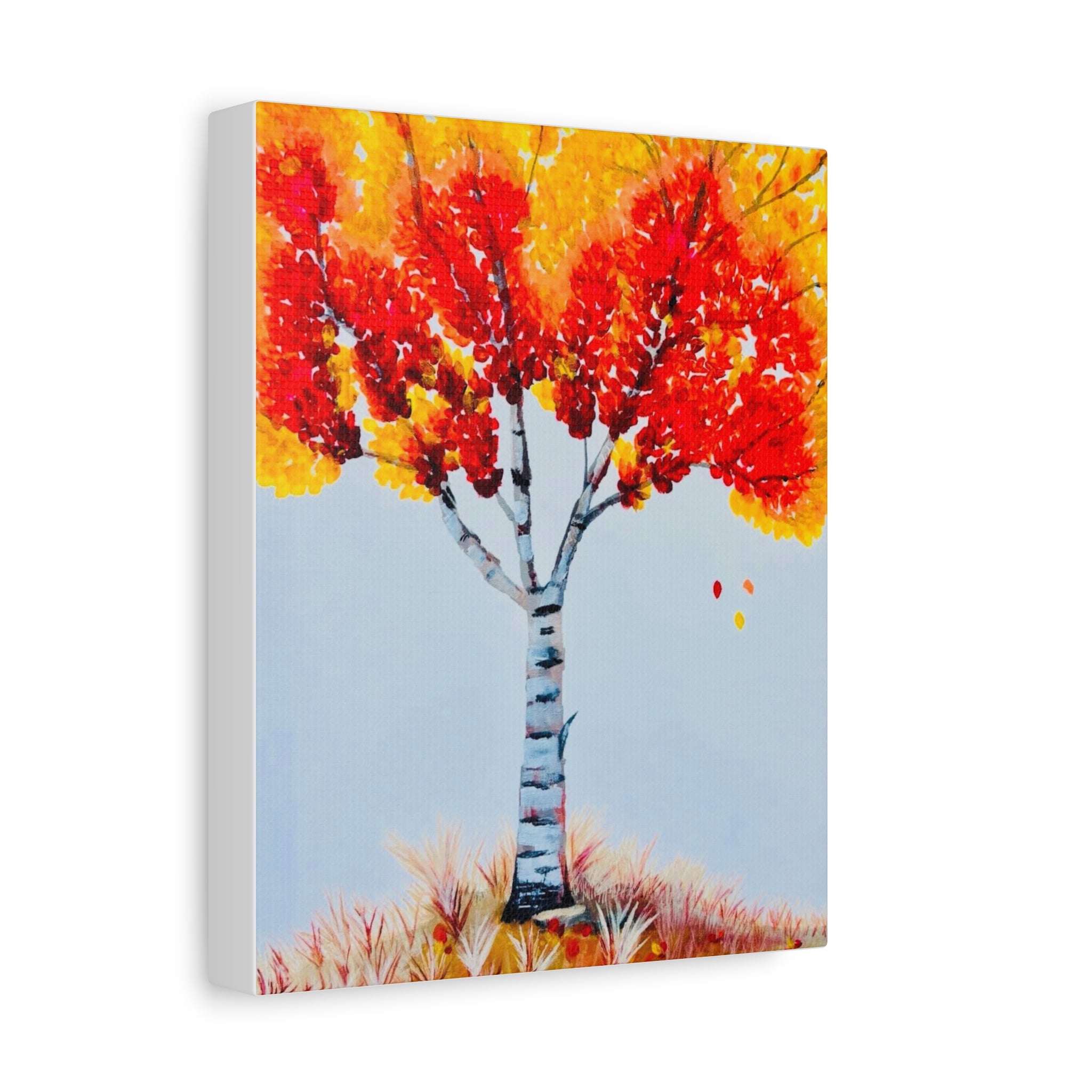 Autumn Birch Tree