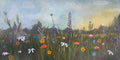 Morning Meadow (Fine Art Print)